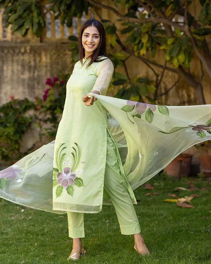 Aarohi Handpainted Suit Set