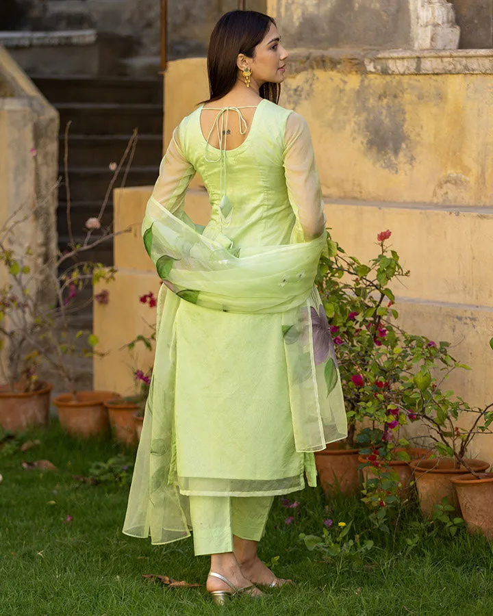 Aarohi Handpainted Suit Set