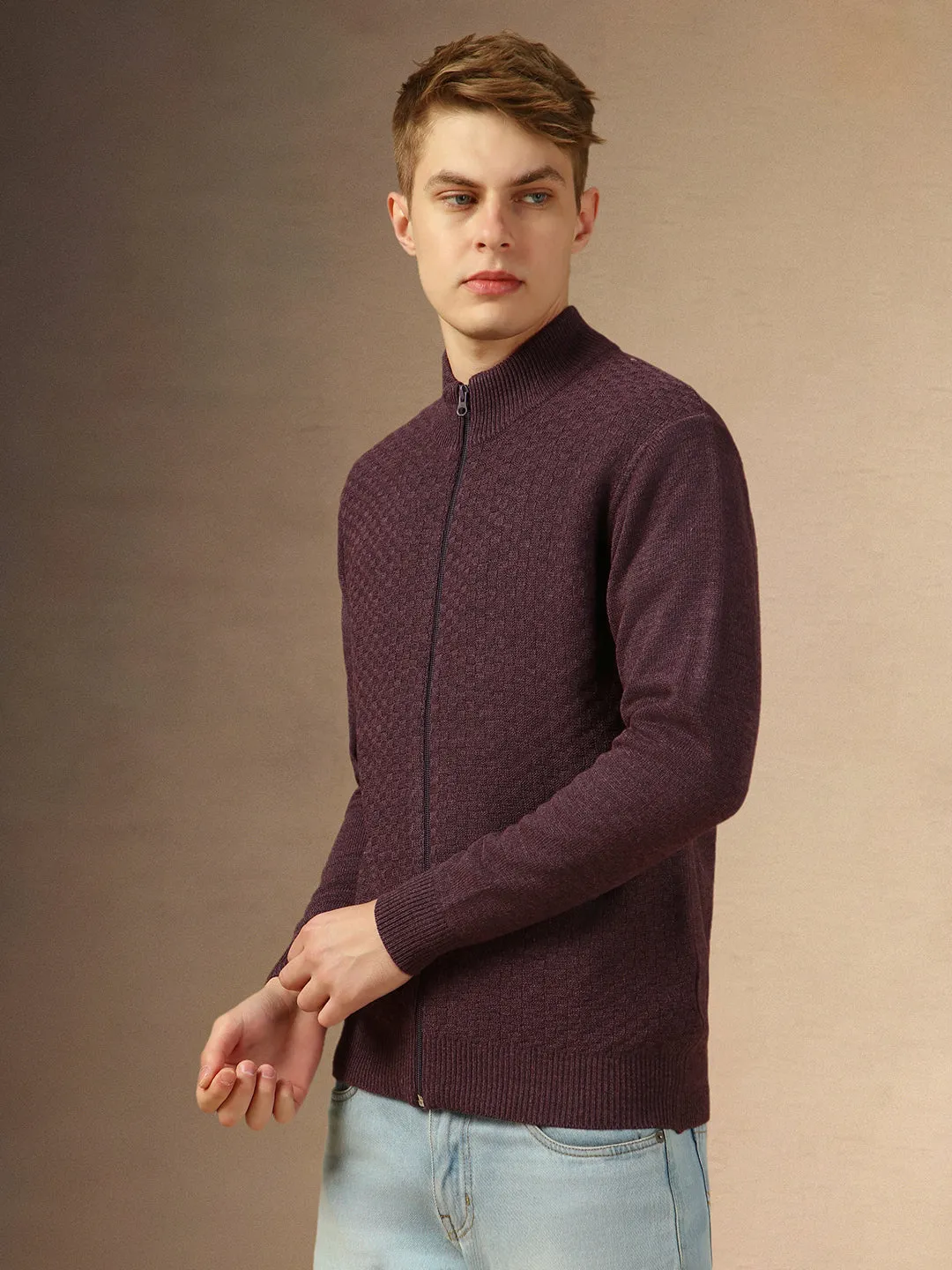 Men's Plum Mock Neck Full Sleeves Slim Fit Pullover Sweater