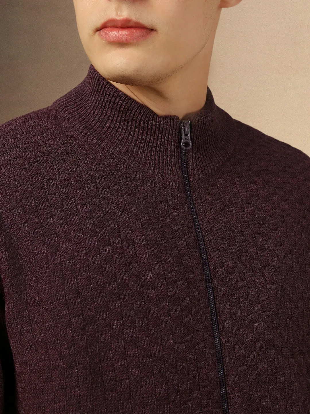 Men's Plum Mock Neck Full Sleeves Slim Fit Pullover Sweater